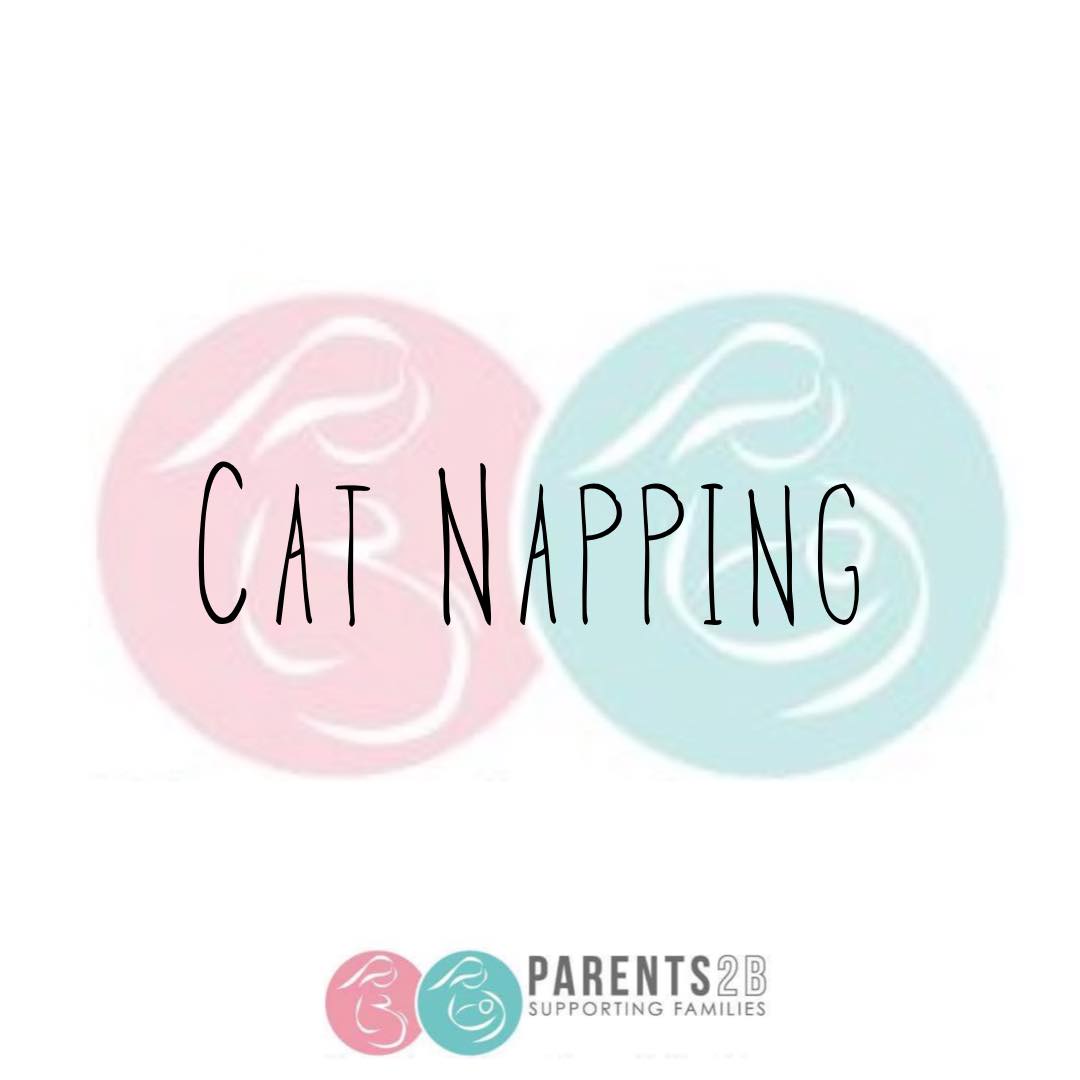 Cat Napping Parents 2B